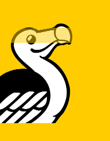 the dodo
