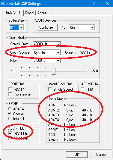 RayDat Settings.png
