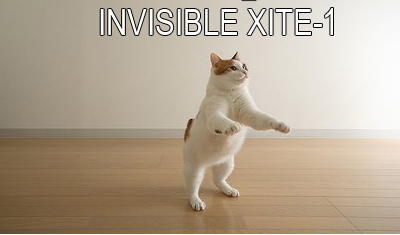 xcitecat.jpg