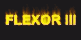 flexor.gif